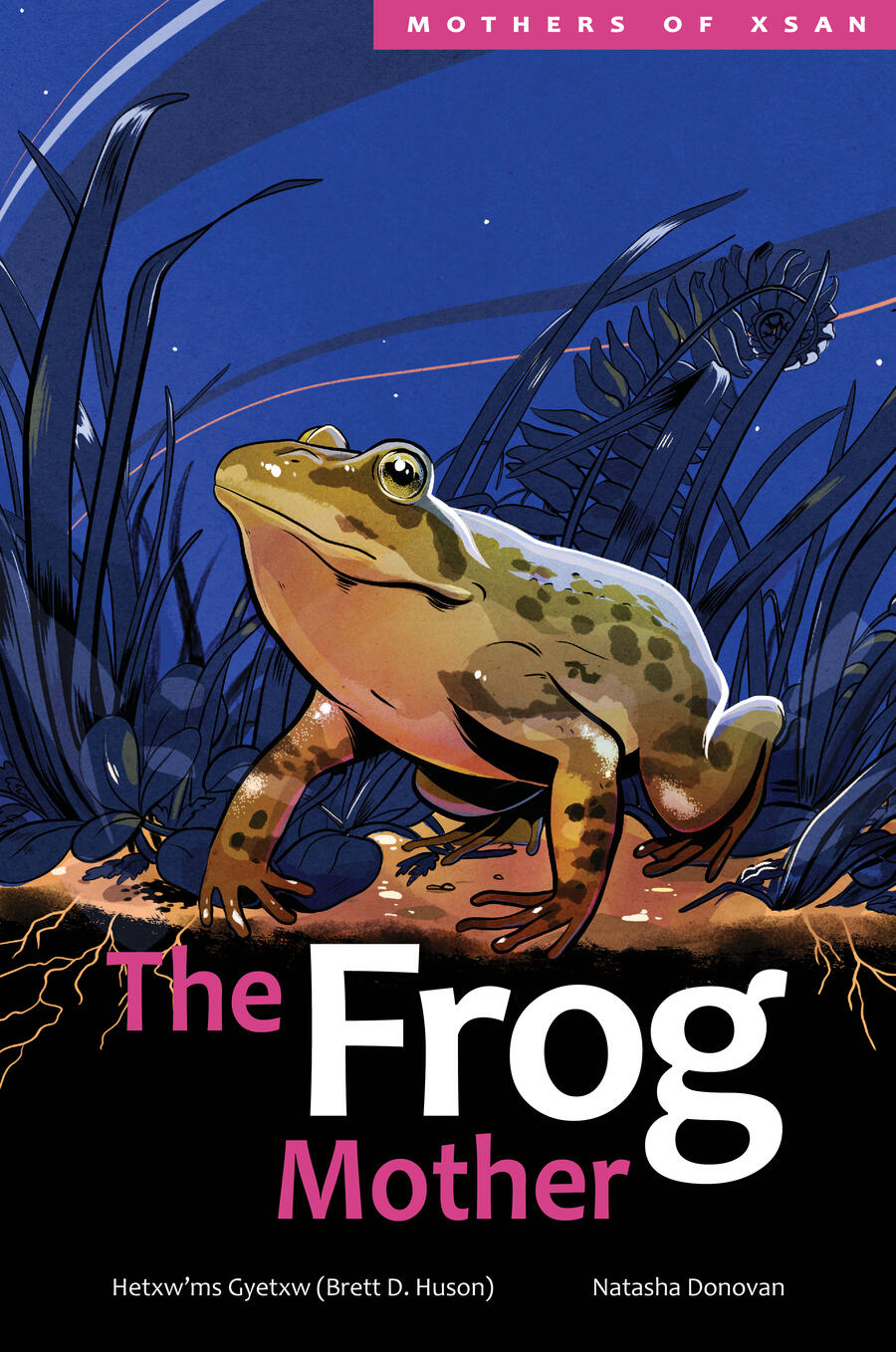 https://www.portageandmainpress.com/var/site/storage/images/books/t/the-frog-mother/image-front-cover/536316-1-eng-CA/Image-front-cover_rb_modalcover.jpg